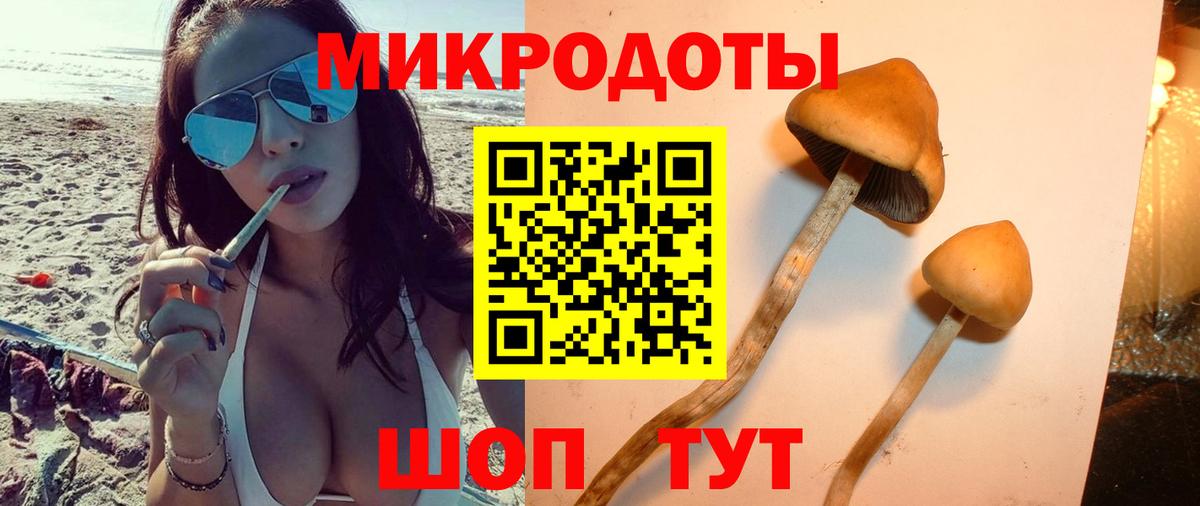 Галлюциногенные грибы ЛСД  Вход с VPN  Лесосибирск 